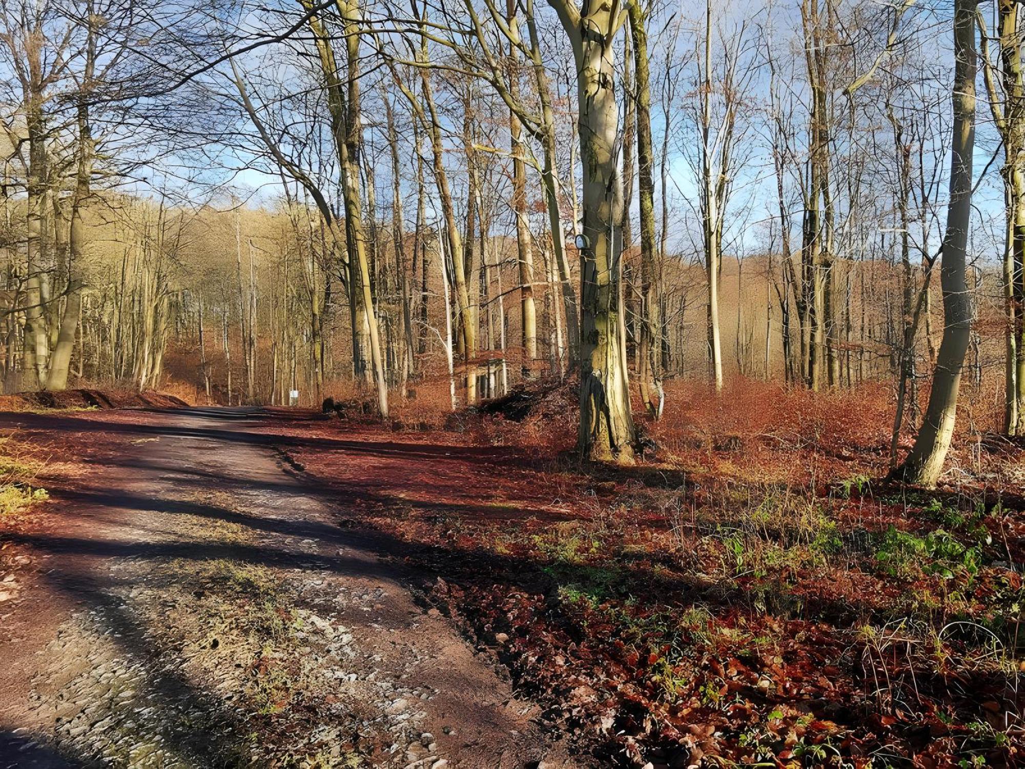 Ahlberg Ferienhaus Mariendorf  Esterno foto